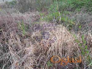 Odličan plac u Rakovcu.